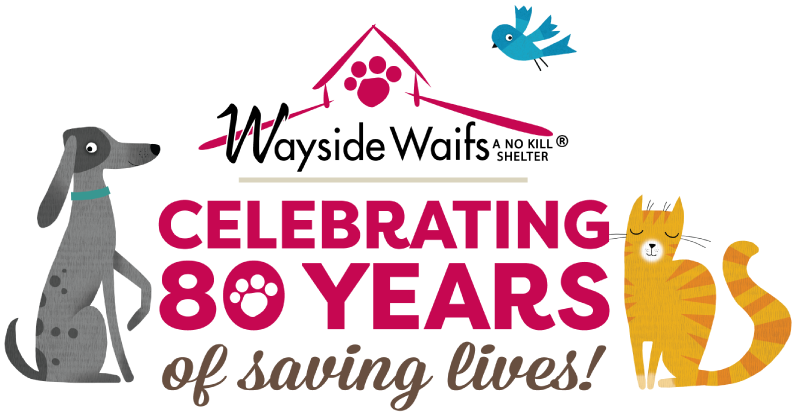 Wayside Waifs logo